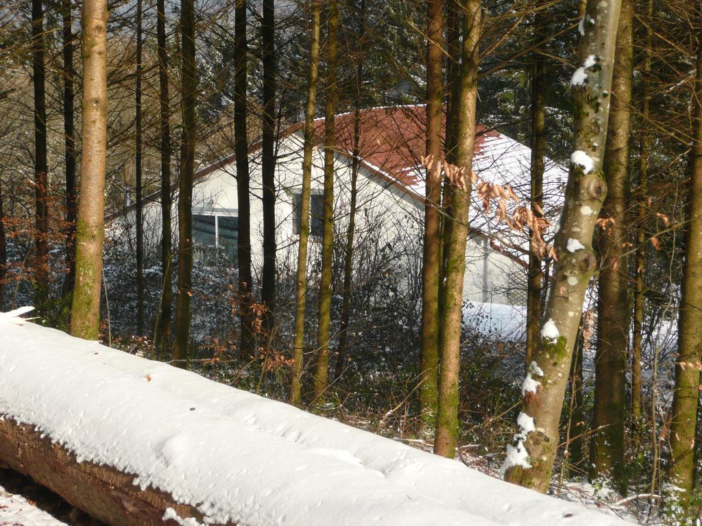 Bed and Breakfast Au Palton Raon-aux-Bois Esterno foto